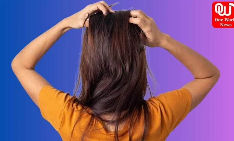 Would you give this DIY amla-methi conditioner a try