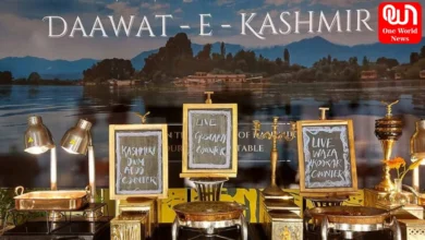 Dawat - E - Kashmir