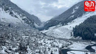 Jammu and Kashmir, Snowfall