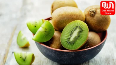 Kiwi Fruit