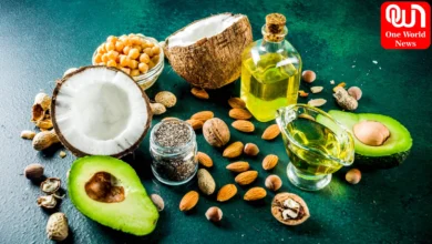 how are fats digested in our bodies