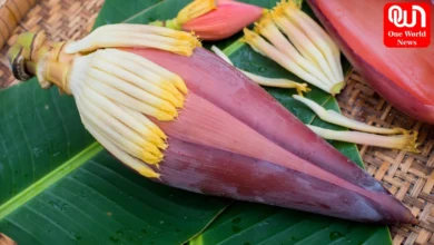 how to cook banana flower