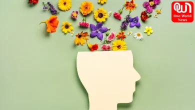 how to improve mental health of students