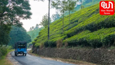 how to travel from kochi to munnar