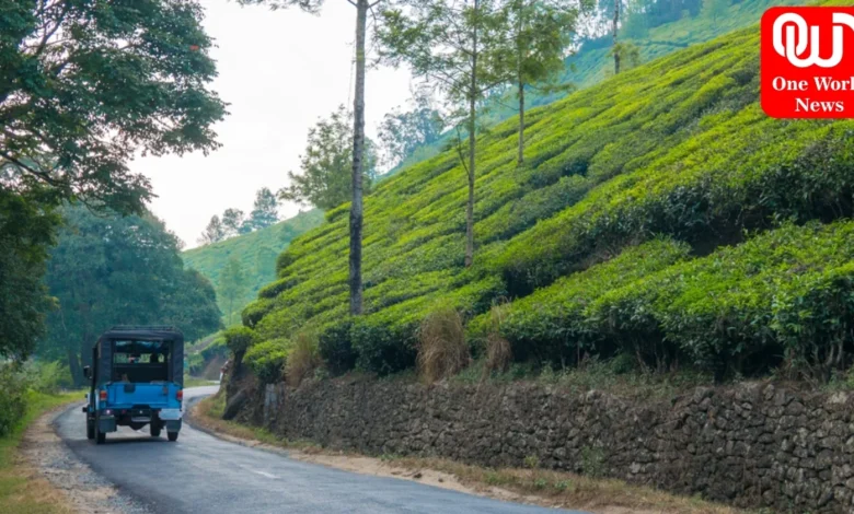 how to travel from kochi to munnar