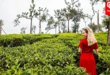 what to wear in kerala in december 20