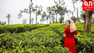 what to wear in kerala in december 20