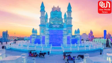 Ice city