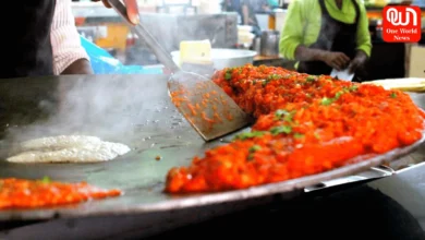 Best Street Food in Mumbai
