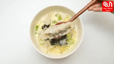 Dumpling Soup Recipe