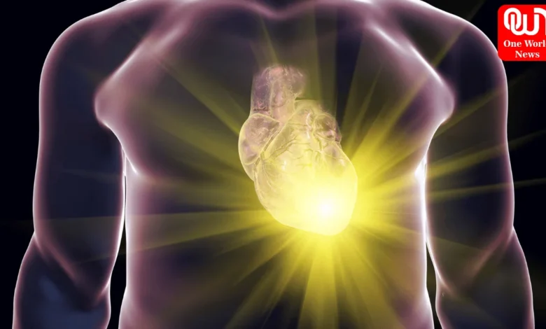 Heart Attack Or Cardiac Arrest