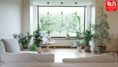 Indoor Smart Gardens