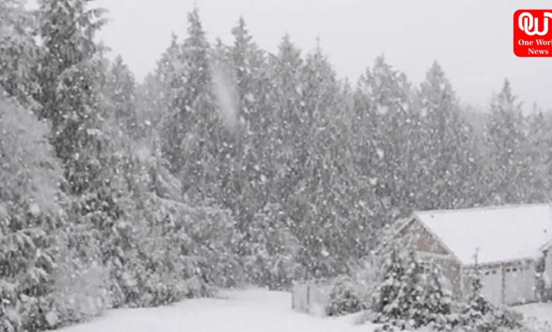 Why People Love Snow So Much