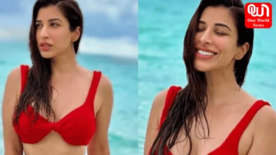 Sophie Choudry
