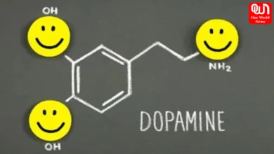Dopamine chasing