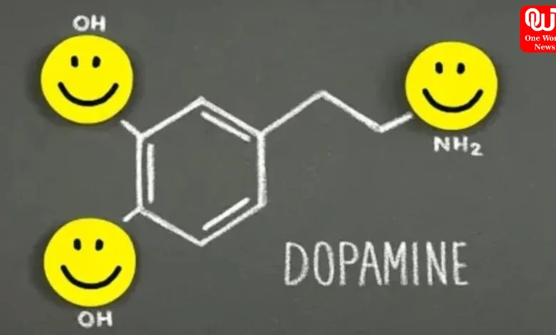Dopamine chasing