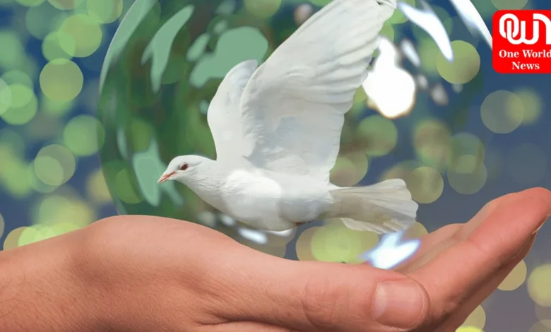 World Peace and Understanding Day 2024