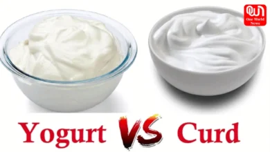 Yogurt And Curd