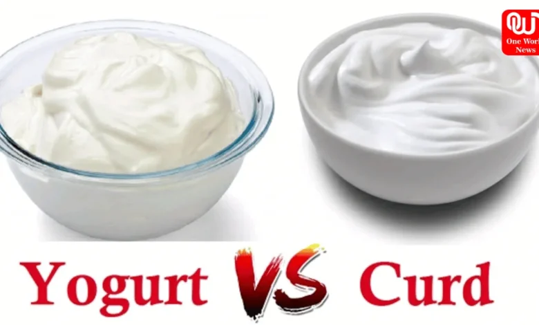 Yogurt And Curd