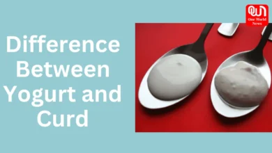 Yogurt And Curd