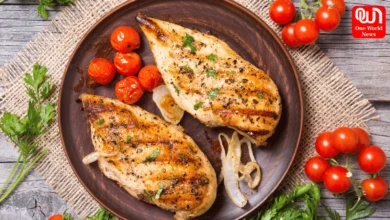why chicken is the best protein source