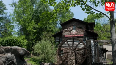 Dollywood