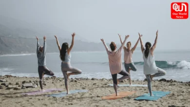 International Yoga Festival 2024