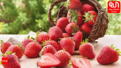 strawberry recipes