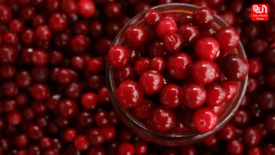 Benefits Of Cranberries