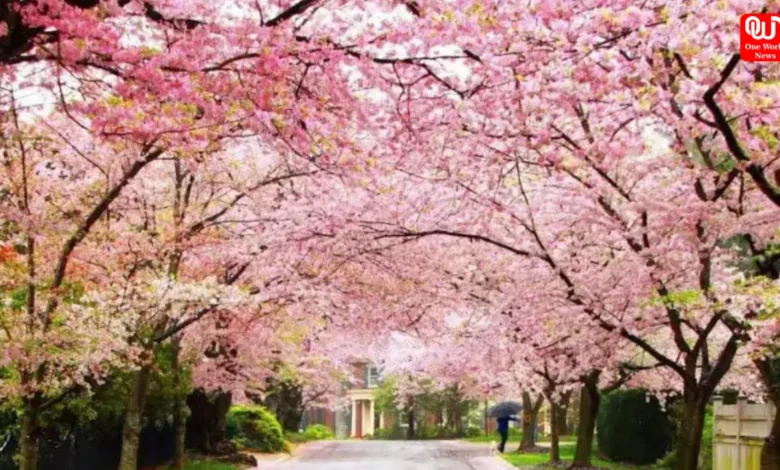 Best places in India