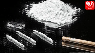 Cocaine Vaccine