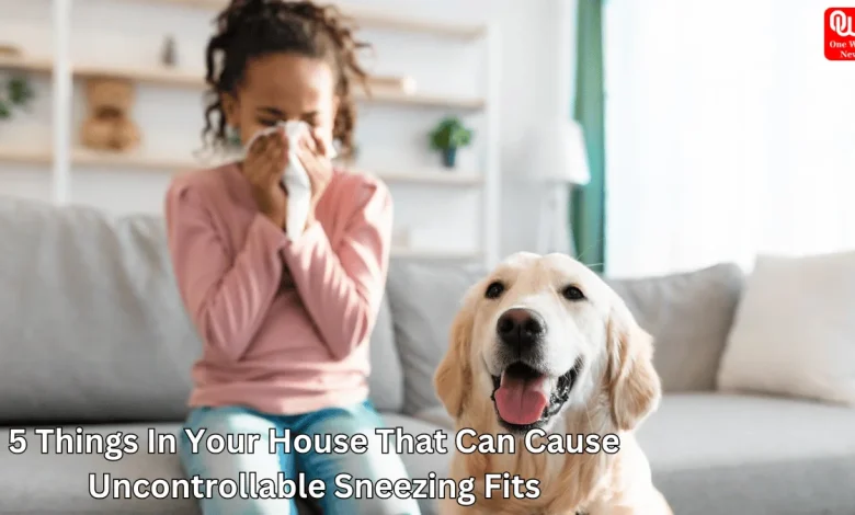 Uncontrollable Sneezing Fits