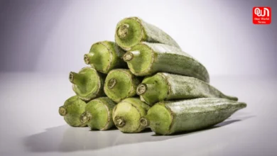 okra water