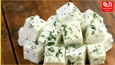 Paneer