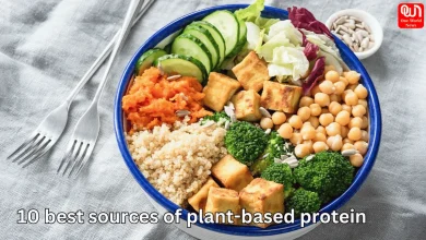 plant based protein