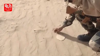 BSF jawan