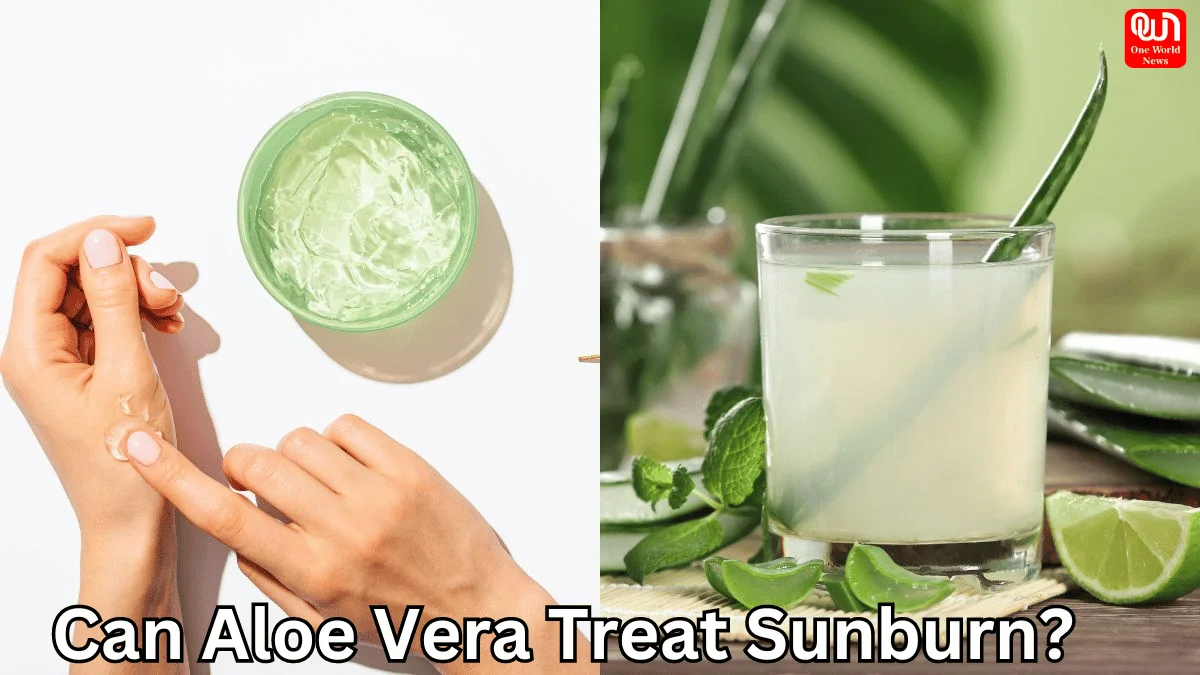 Soothing Sunburns Can Aloe Vera Treat Sunburn Expert Explains