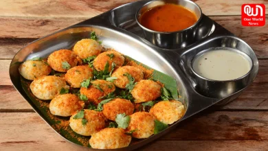 Podi Idli