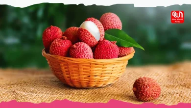 Litchi Benefits