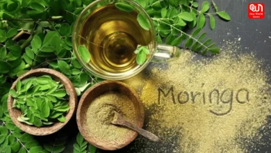 Moringa