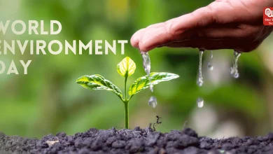 World-Environment-Day