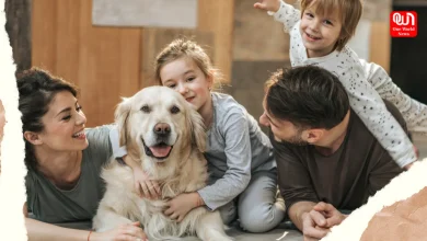 Top 5 Dog Breeds