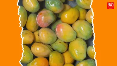 Eating Mangoes Without Washing