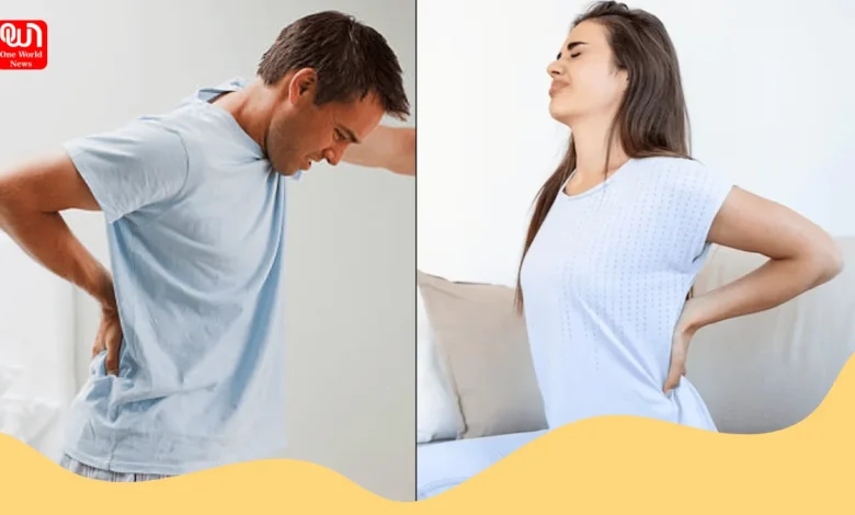 Factors For Back Pain