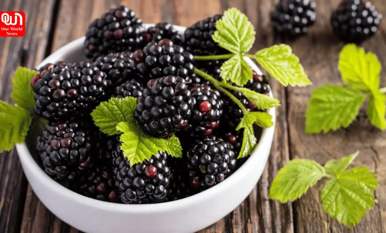 Health Benefits Of Boysenberry