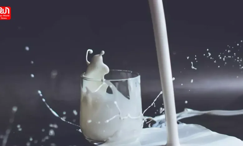 World Milk Day 2024