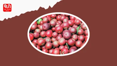 benefits of Kokum