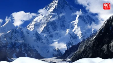 most unique things on planet Earth