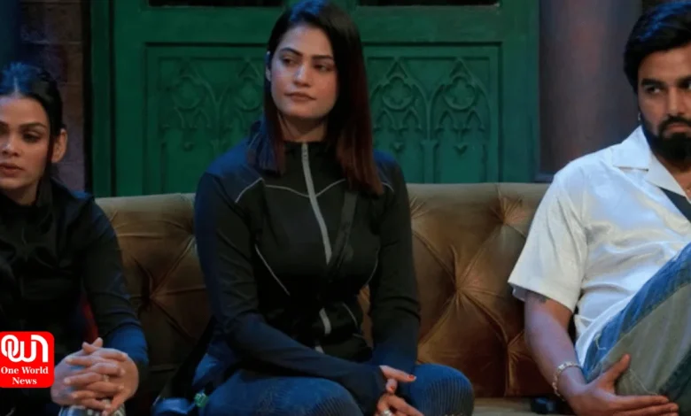 Bigg Boss OTT 3, Kritika Malik