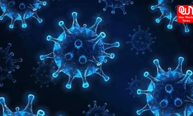 Chandipura virus